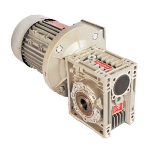 FW Series Geared Motor